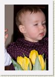 15 - 01 Maine e ziua mea, dar azi mamanc tort * 428 x 640 * (59KB)